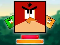 Jewel And Crazy Birds image