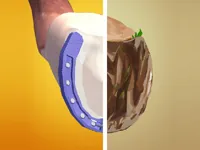 Horseshoeing image