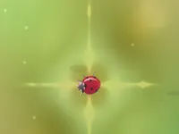 Pest Control image